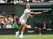 天博-费德勒爆冷击败利物浦，精彩发挥引爆全场！的简单介绍